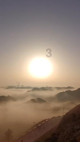 拯救可爱袋鼠