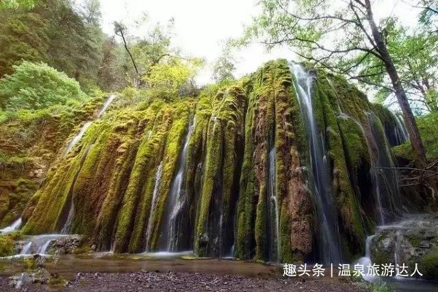 寻找萌宠松鼠